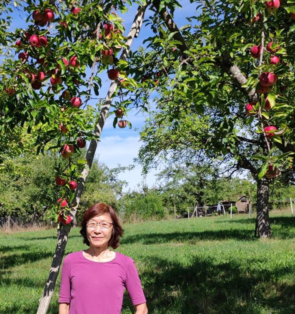 Koyama-Siebert, Dr. Yoko